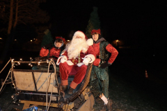 IMG_6950