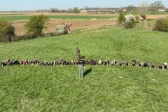 4e1b9f5ffa519ae87df6da4b5f88dcde