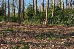 6cc6643d6794c175fd85da6661e30c43