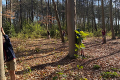 77aff9fdd45c6852c8605dee32ea376b