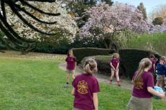 8d5803b16e513a7df8906e40ca690767