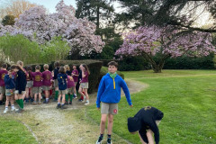 be7e8f2d6c3c834d920a13beb1b82ac8